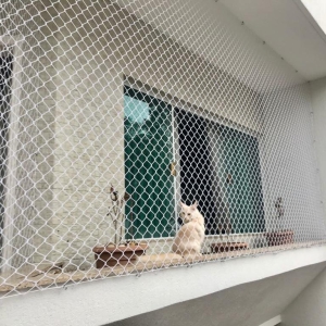 Redes de proteção para gatos